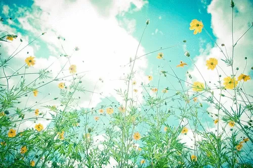 白髪染め 美容室